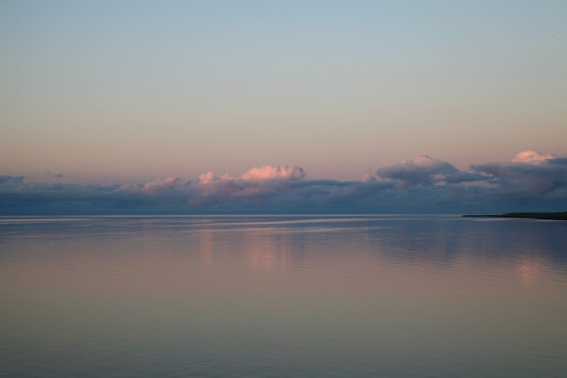 Pink Clouds Pink Clouds